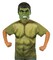 The Costume Center Green and Black Hulk Unisex Child Halloween Costume Set - Small